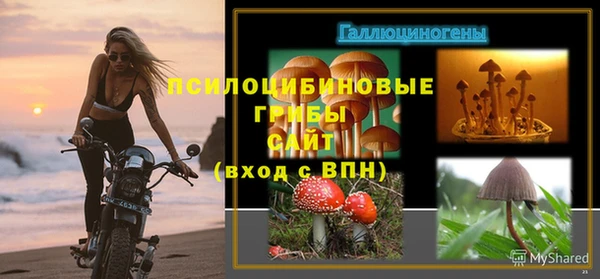 2c-b Балабаново